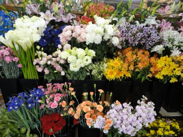 埼玉県戸田市の花屋 フラワーアレンジメントカラーズにフラワー ギフトはお任せください 当店は 安心と信頼の花キューピット加盟店です 花キューピットタウン
