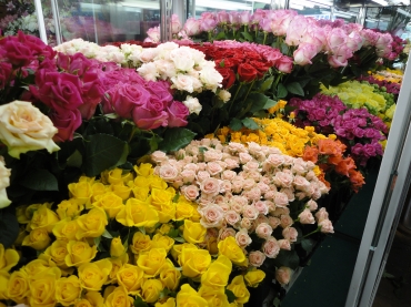 埼玉県戸田市の花屋 フラワーアレンジメントカラーズにフラワーギフトはお任せください 当店は 安心と信頼の花キューピット加盟店です 花キューピットタウン